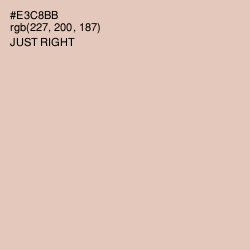 #E3C8BB - Just Right Color Image